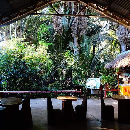 Villa Hermosa De Tambopata Casa Hospedaje & Hostel Πουέρτο Μαλντονάντο Εξωτερικό φωτογραφία