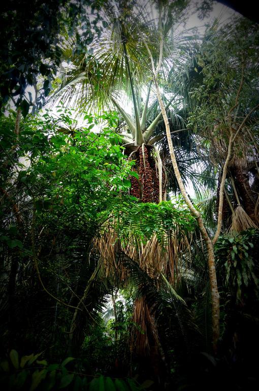 Villa Hermosa De Tambopata Casa Hospedaje & Hostel Πουέρτο Μαλντονάντο Εξωτερικό φωτογραφία