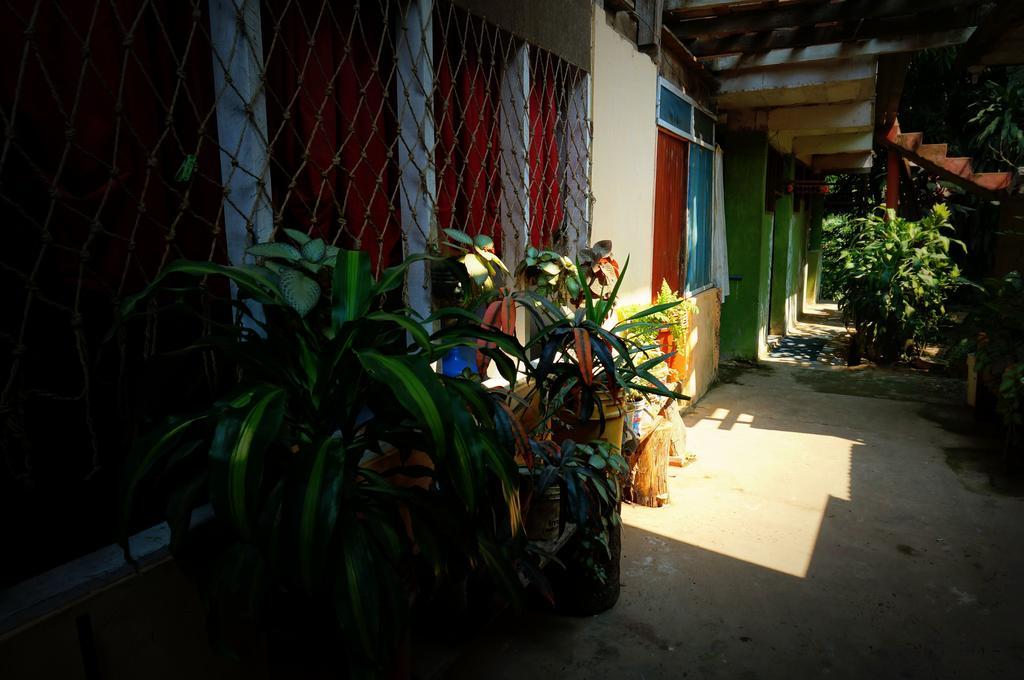 Villa Hermosa De Tambopata Casa Hospedaje & Hostel Πουέρτο Μαλντονάντο Εξωτερικό φωτογραφία